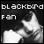 Blackbird Fanlisting